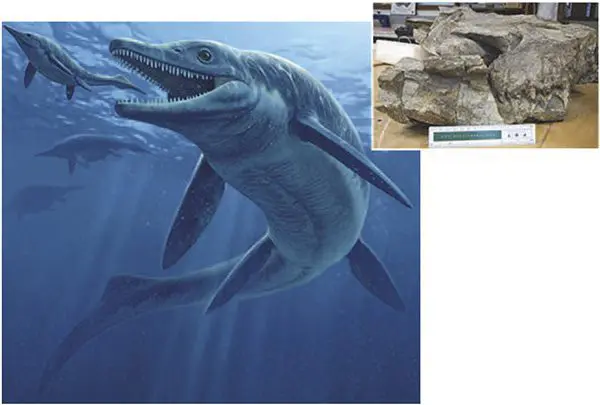 Abstract spiral design with red and orange dots on a dark background.